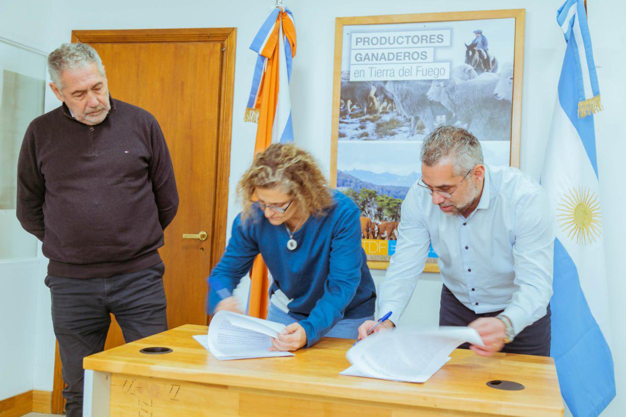 d11795f2-5264-4007-aae5-0c507d54ba7f