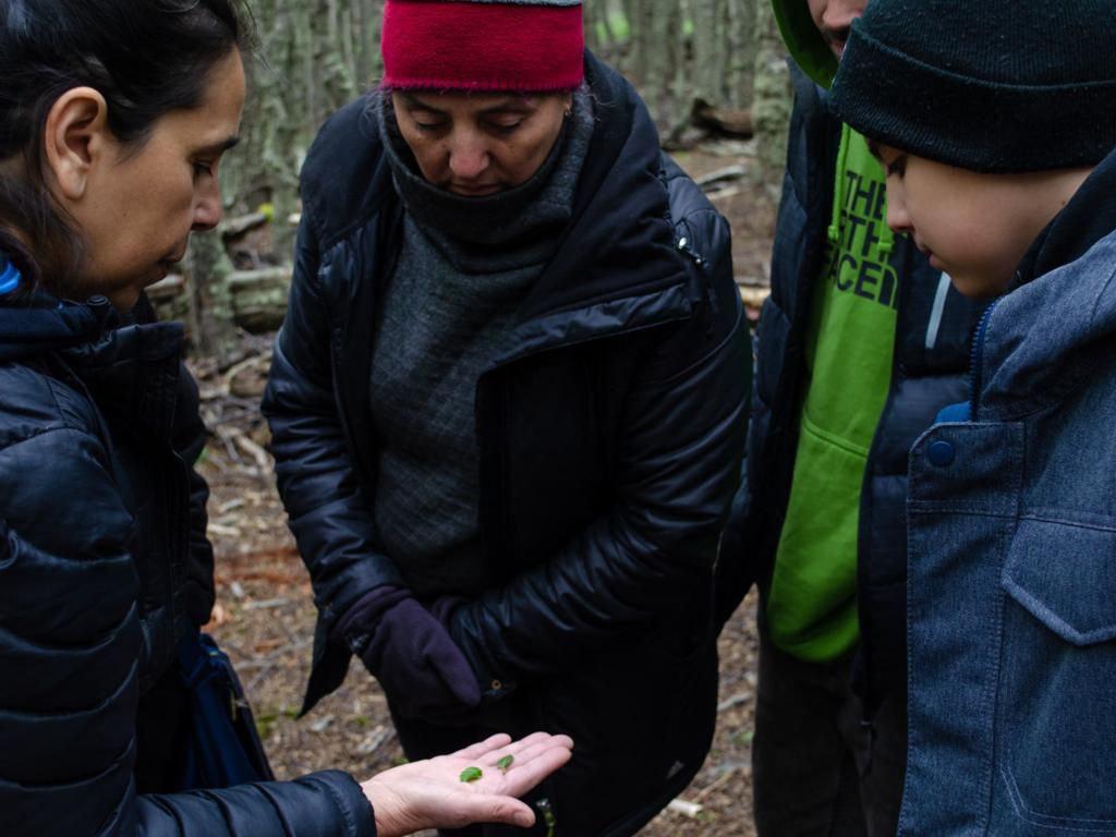 photo_5069131951809604672_y