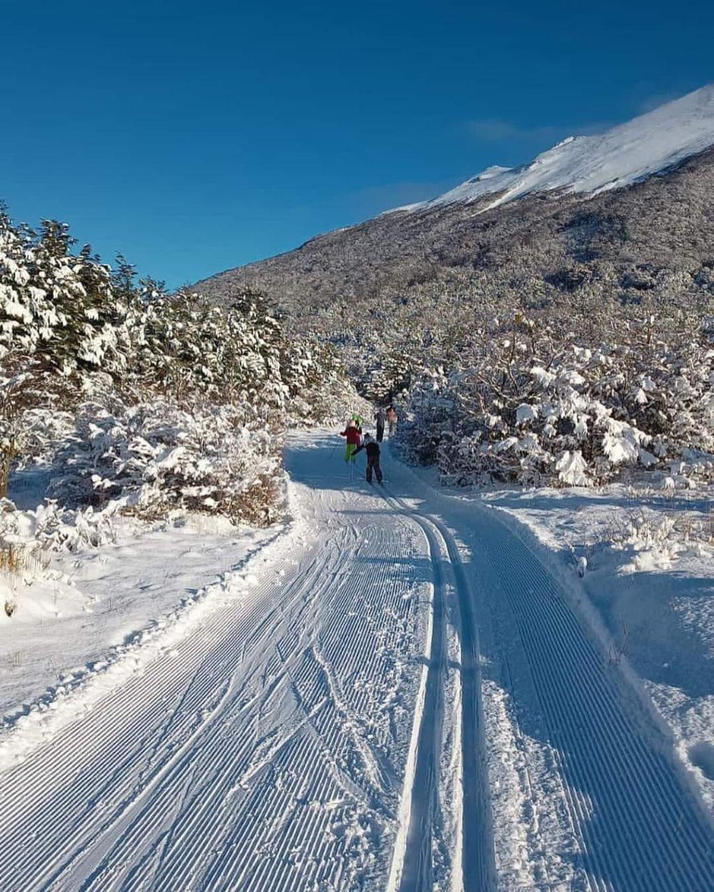 photo_5039716596972629077_y