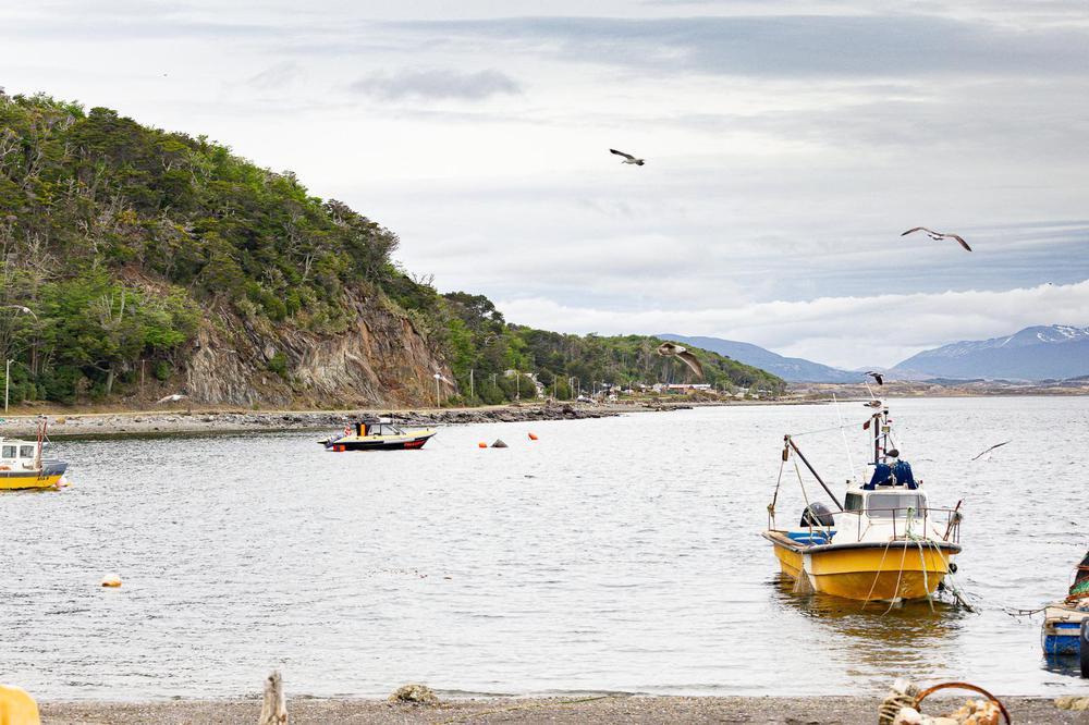 Pesca