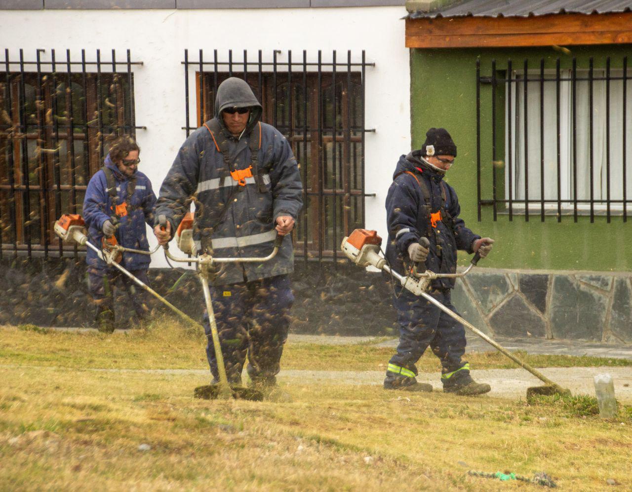 photo_4970155800567851832_y