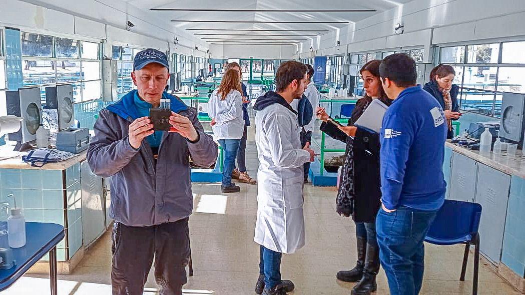 photo_5145857844585802711_y