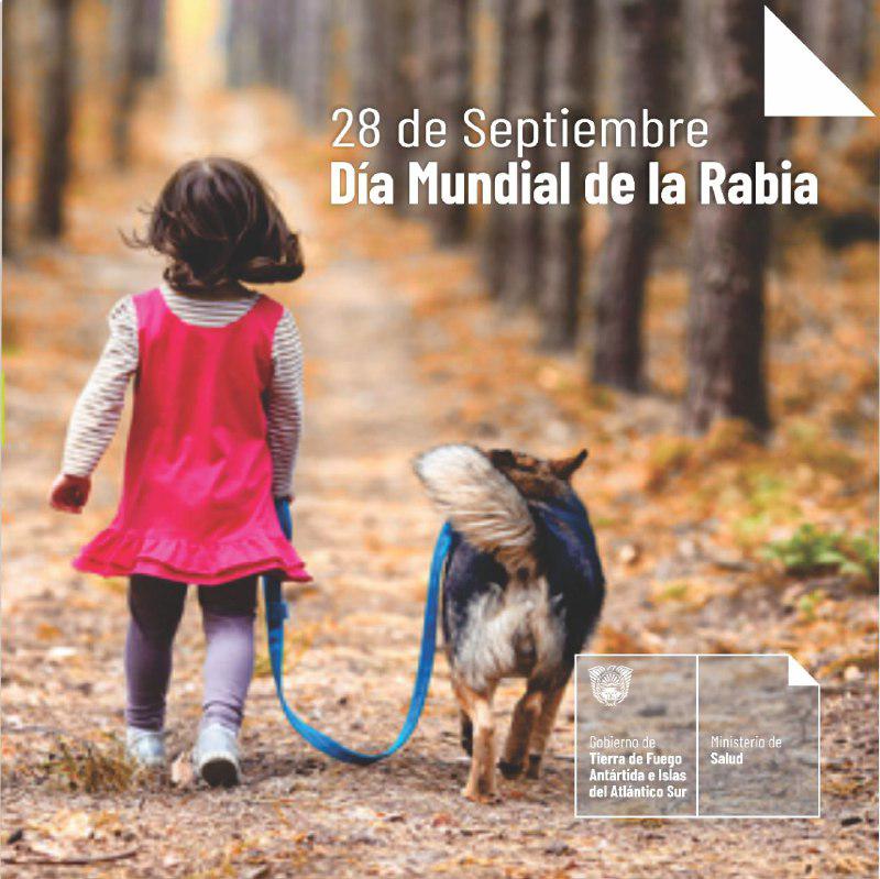 df938150-4bbb-45e4-9f60-91b1ff563636