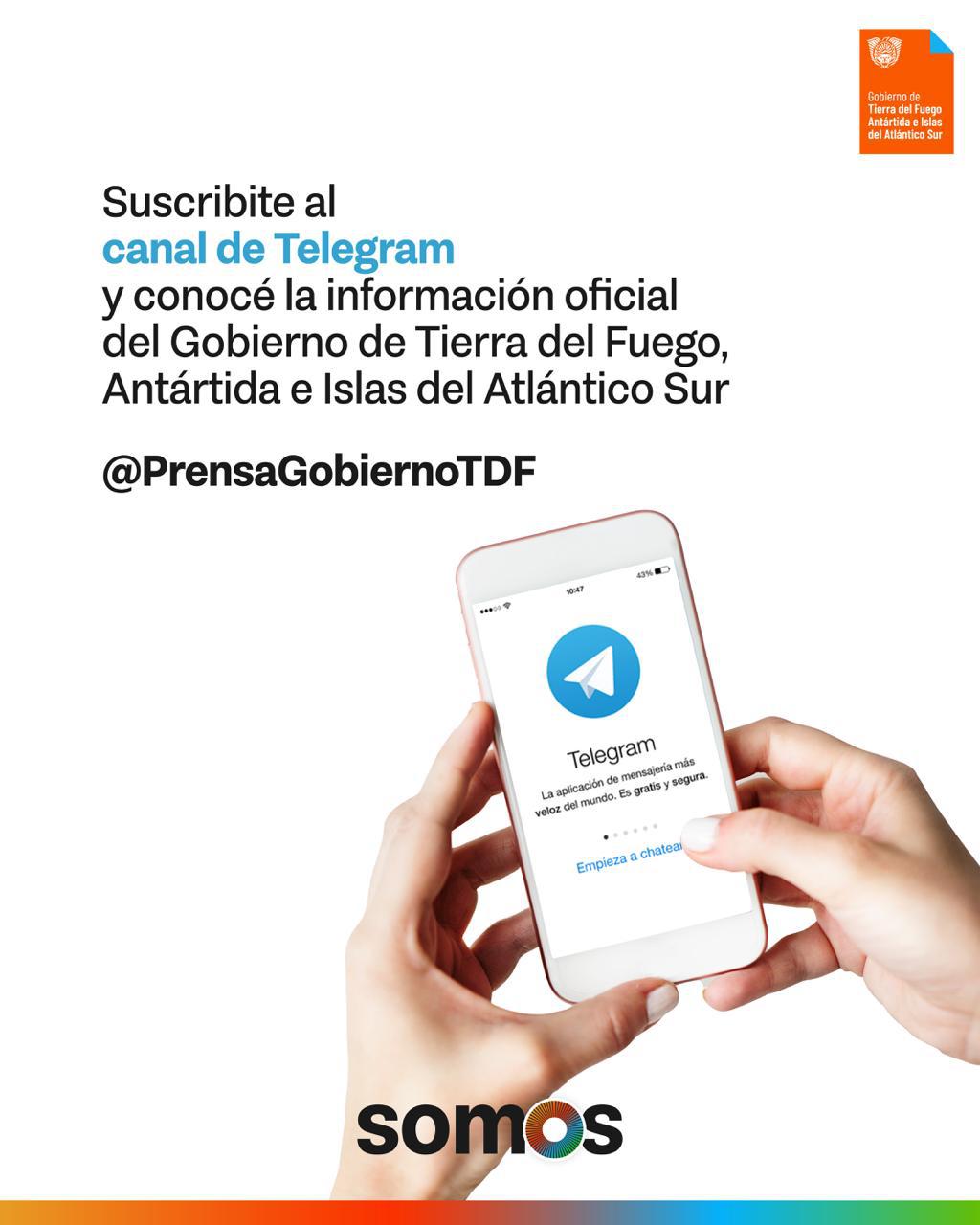 photo_4920520907932412784_y