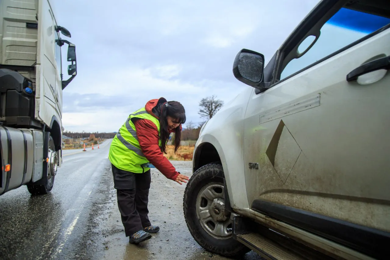 photo_4987939374649945329_y