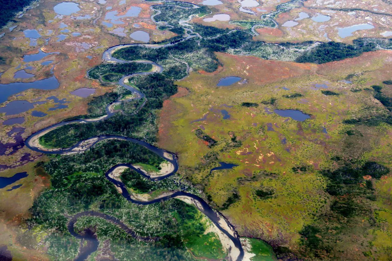 photo_4933767209847294742_y