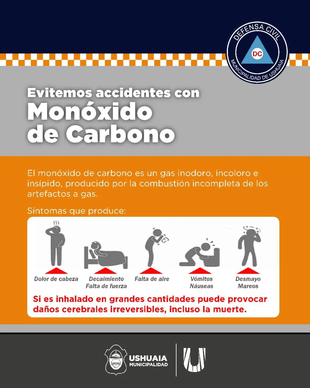 photo_4983625646936796762_y