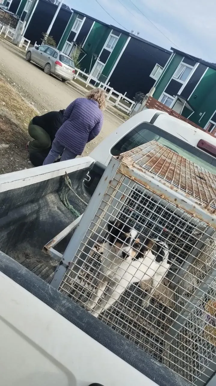 photo_5060118756780519171_y