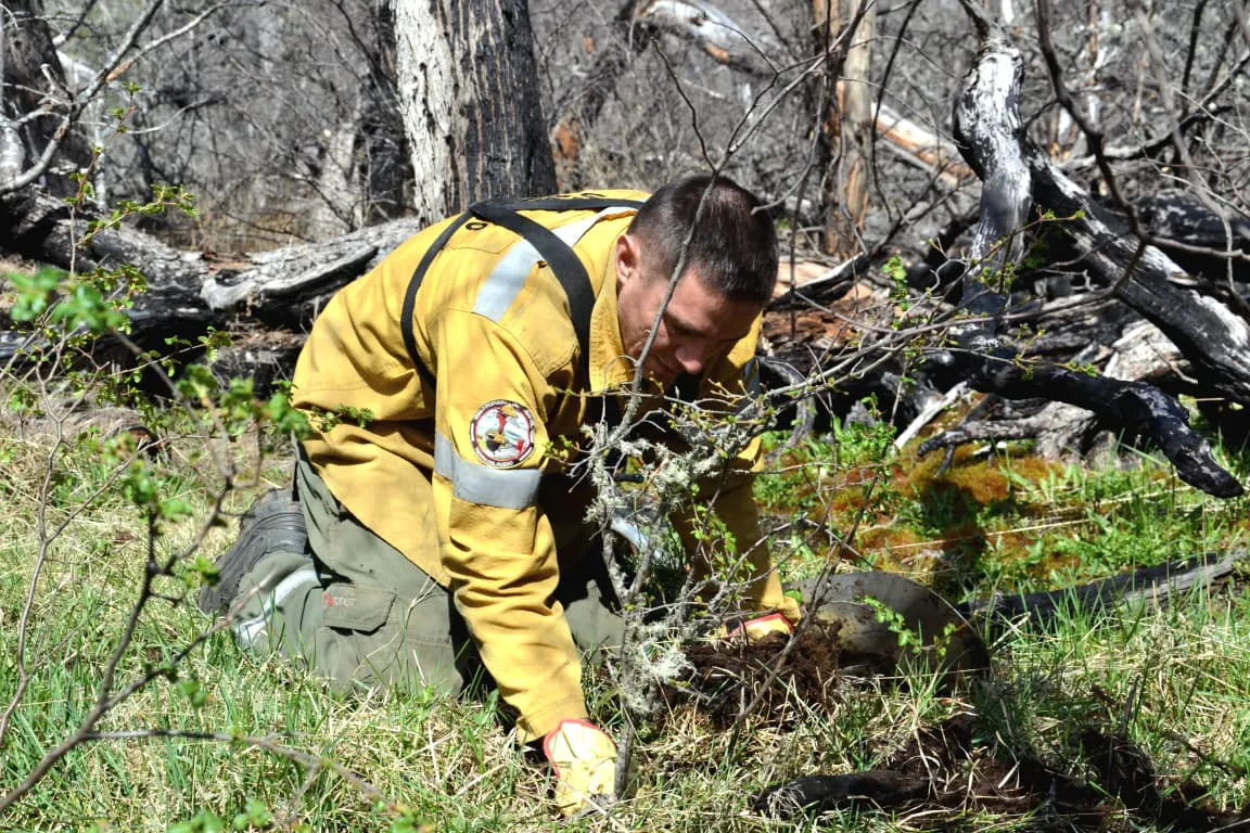 photo_4920401907277302543_y