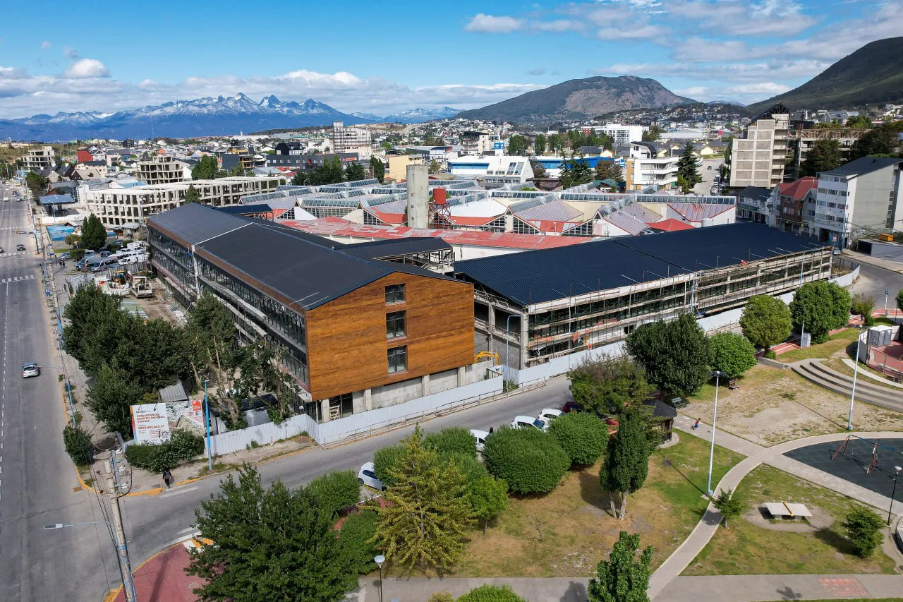 photo_4954122417068945639_y