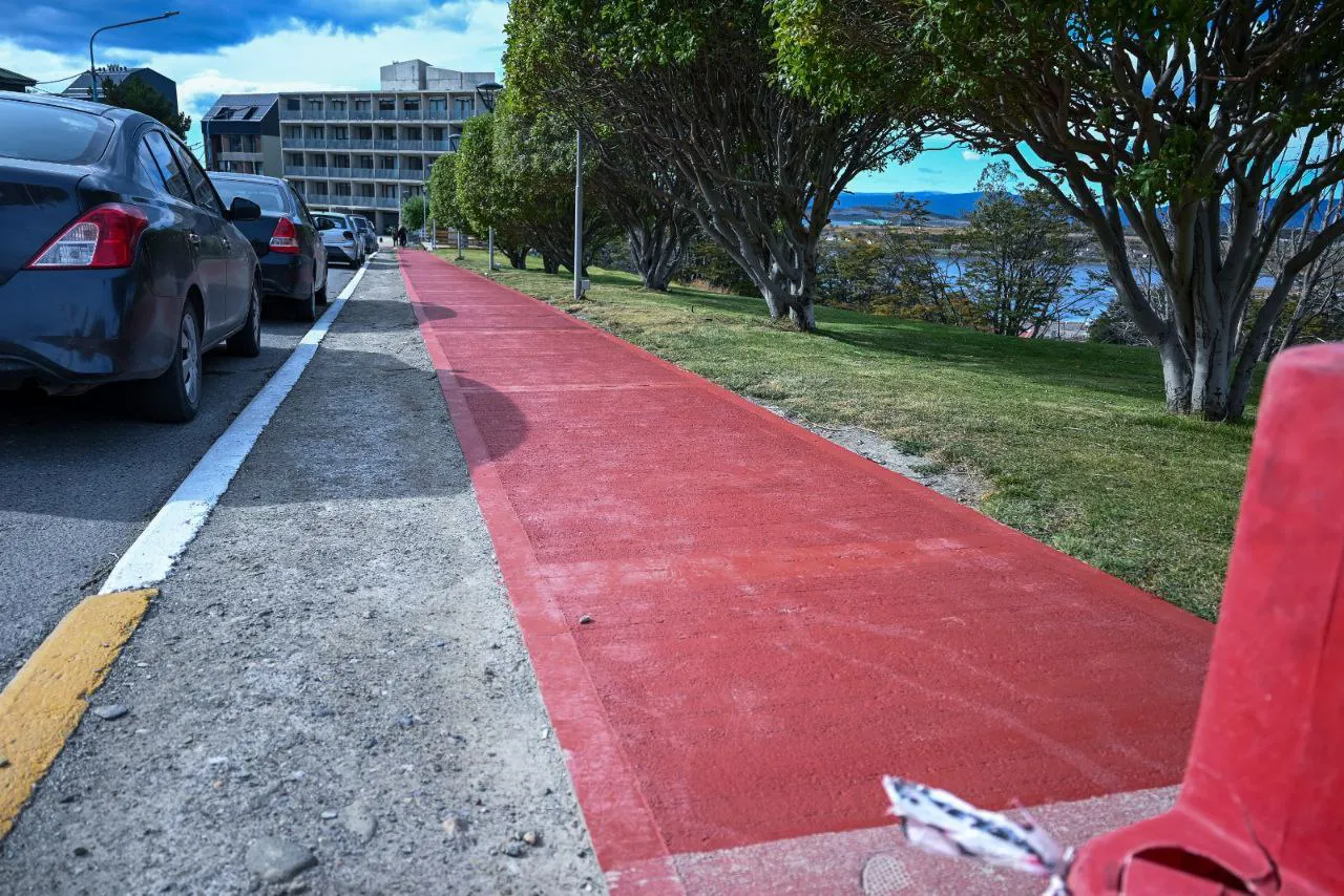 photo_5026418686734478960_y (1)