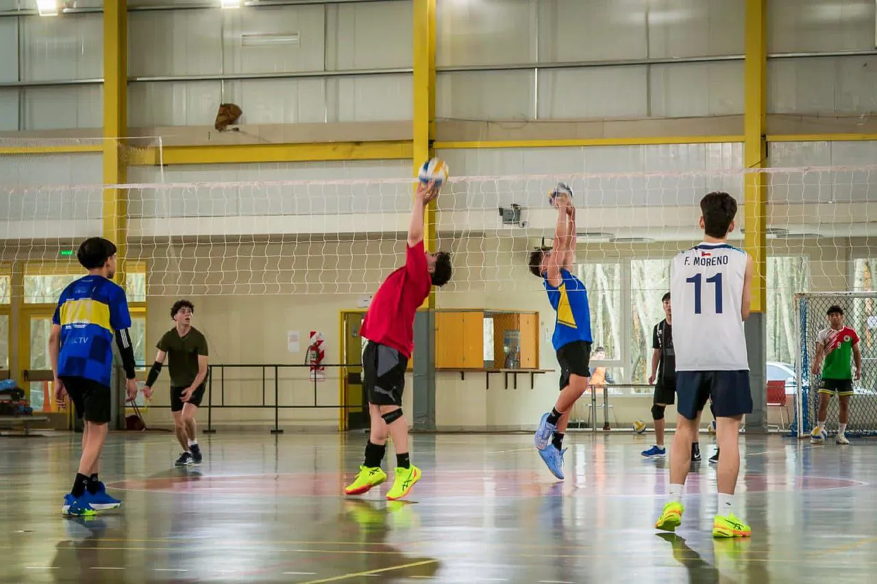 photo_4949570924261257080_y