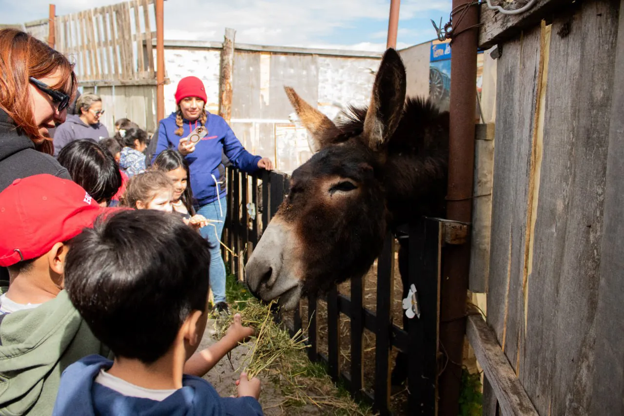 photo_5152221882315639754_y