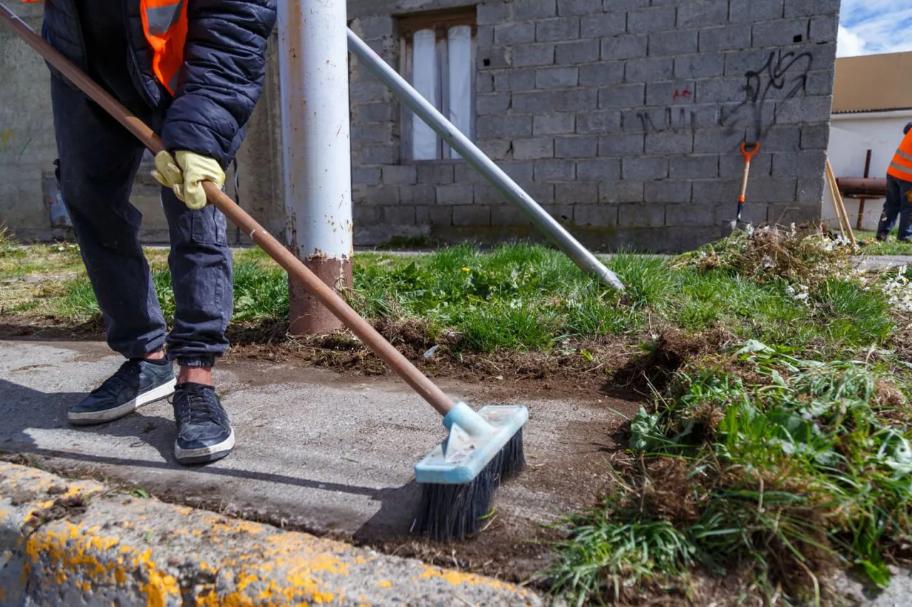 photo_4976981817861190002_y