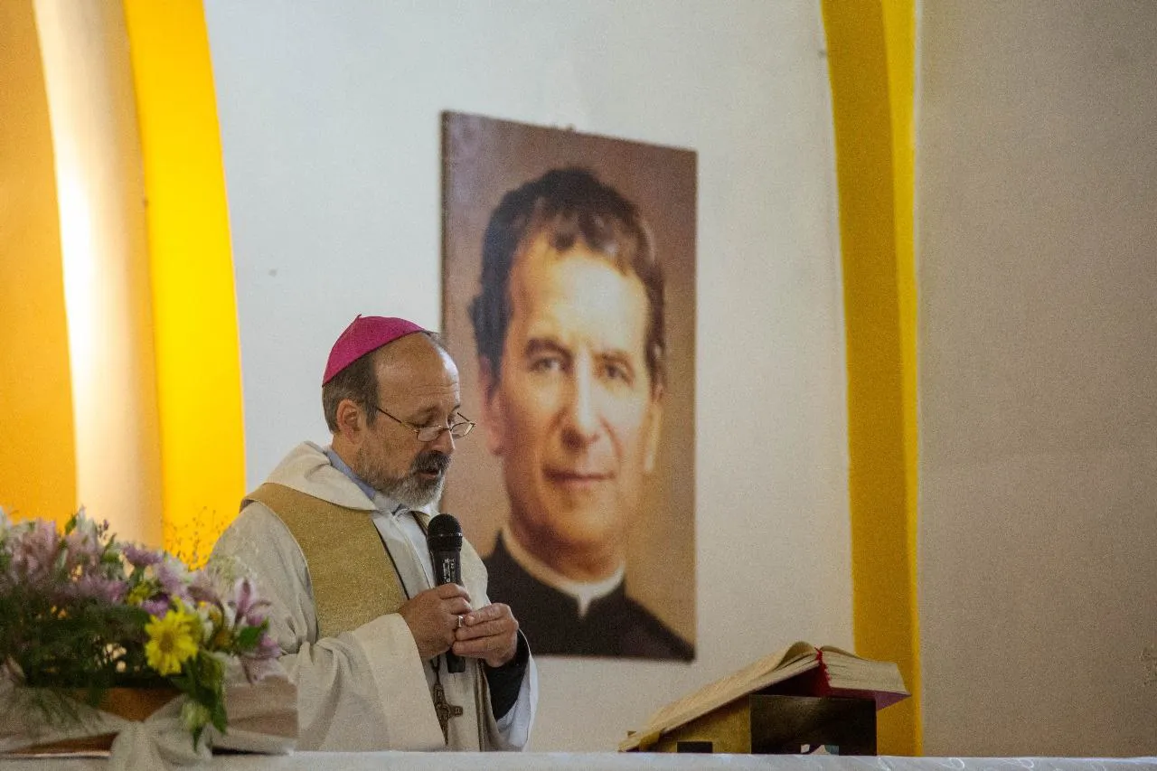 photo_5017485627205201541_y