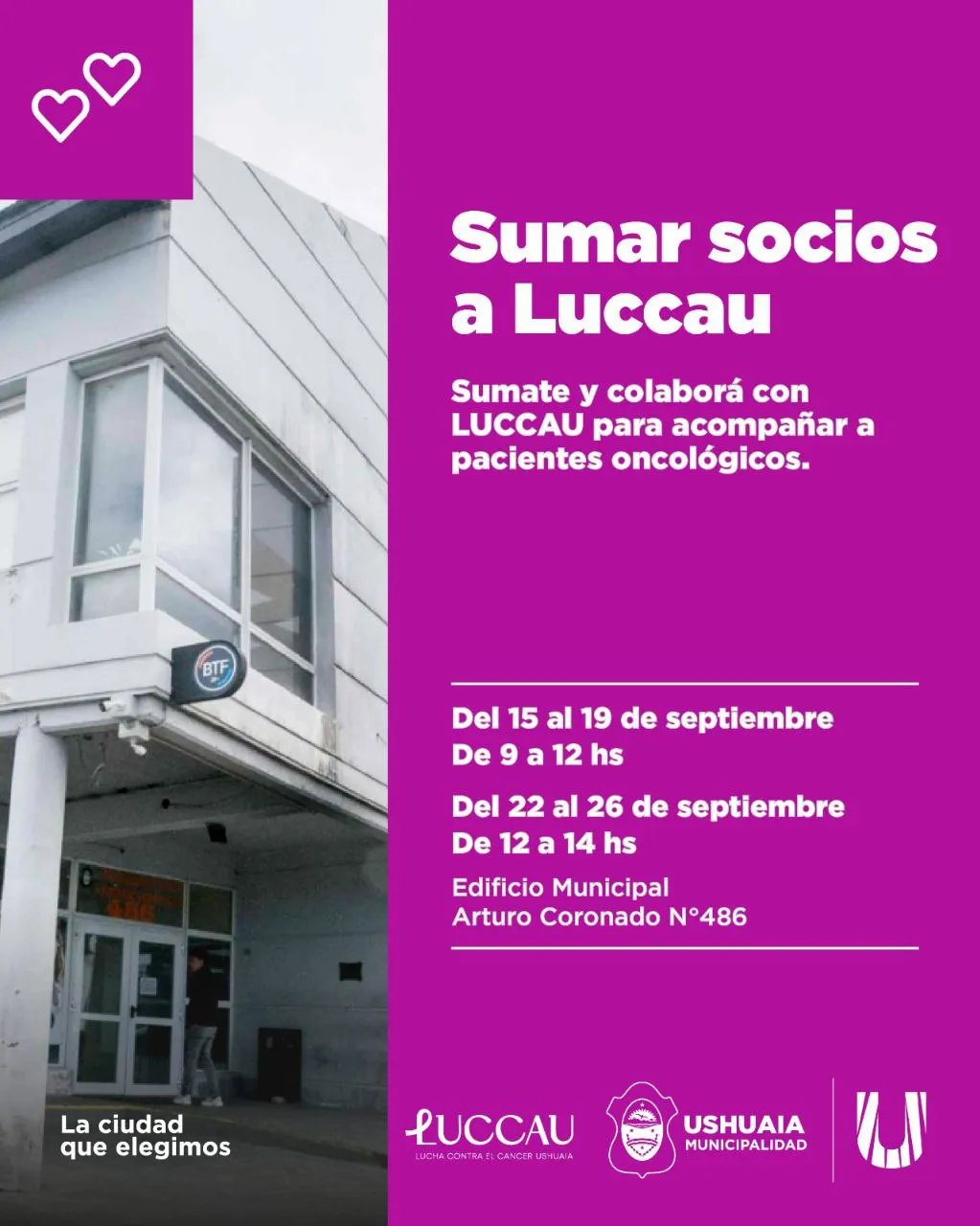 photo_5049024890614690308_y