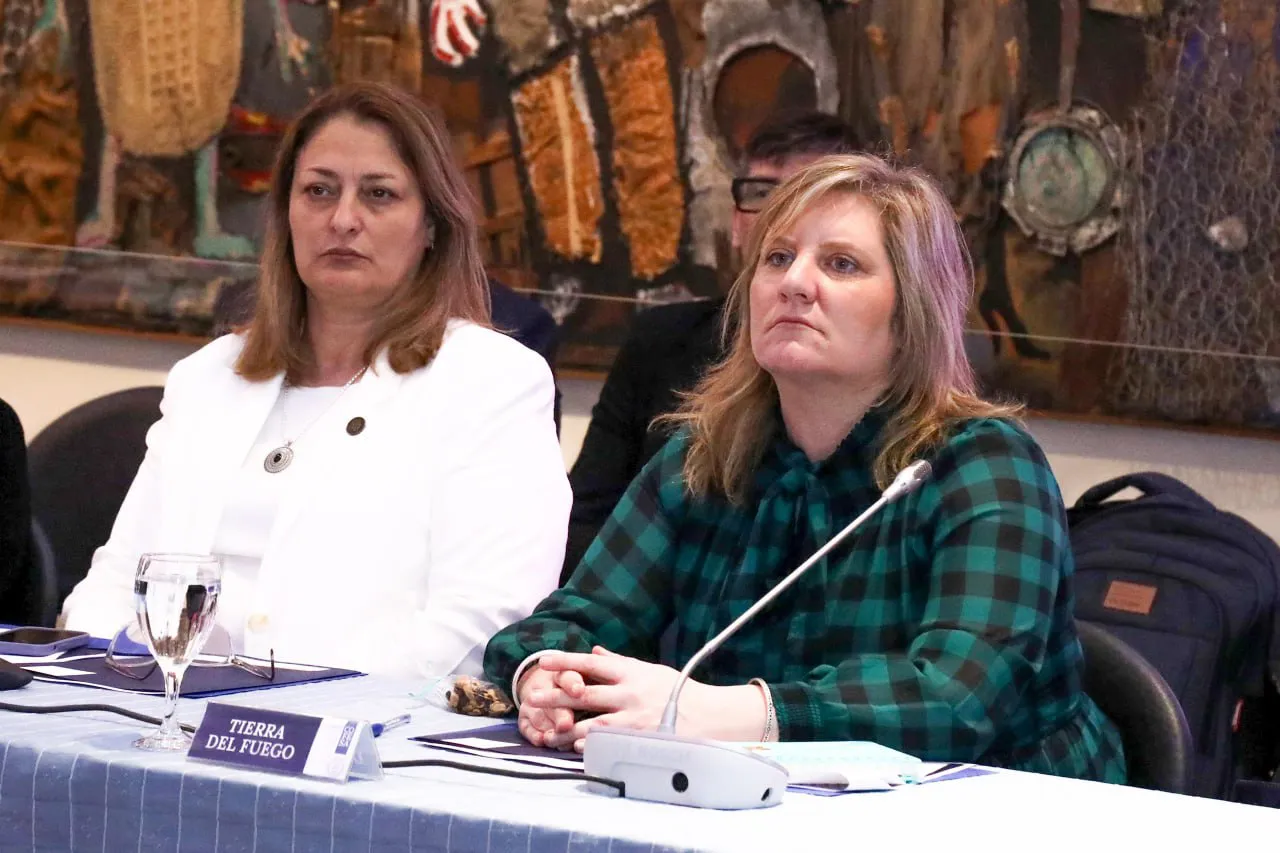 photo_5136698474639764803_y