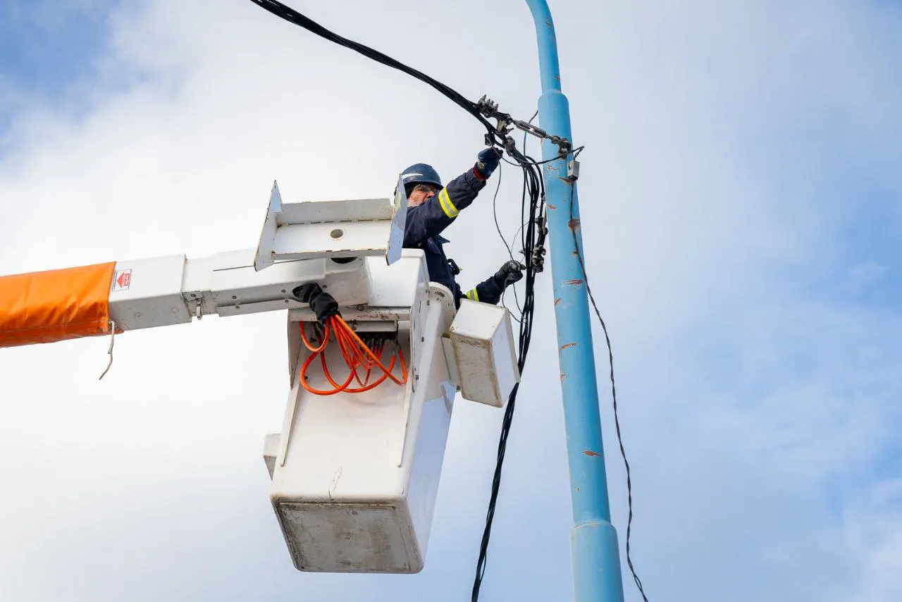 photo_4931515410033609516_y