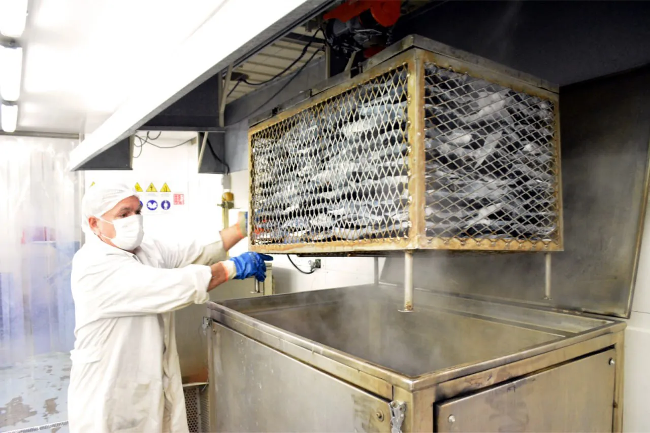 photo_5089542521163460860_y