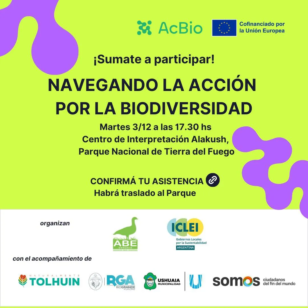 photo_5073755638722572135_y