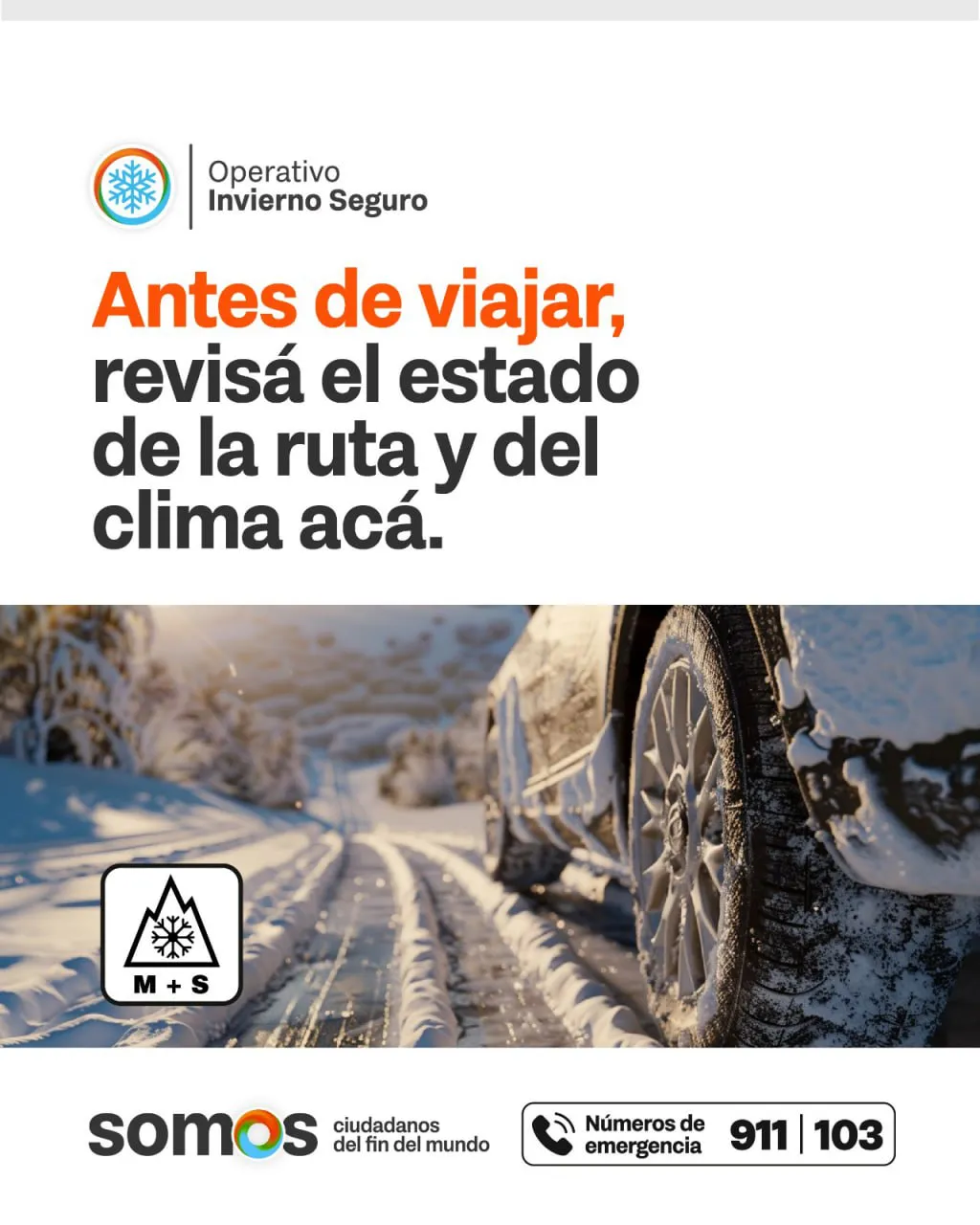 photo_4995018116408913544_y