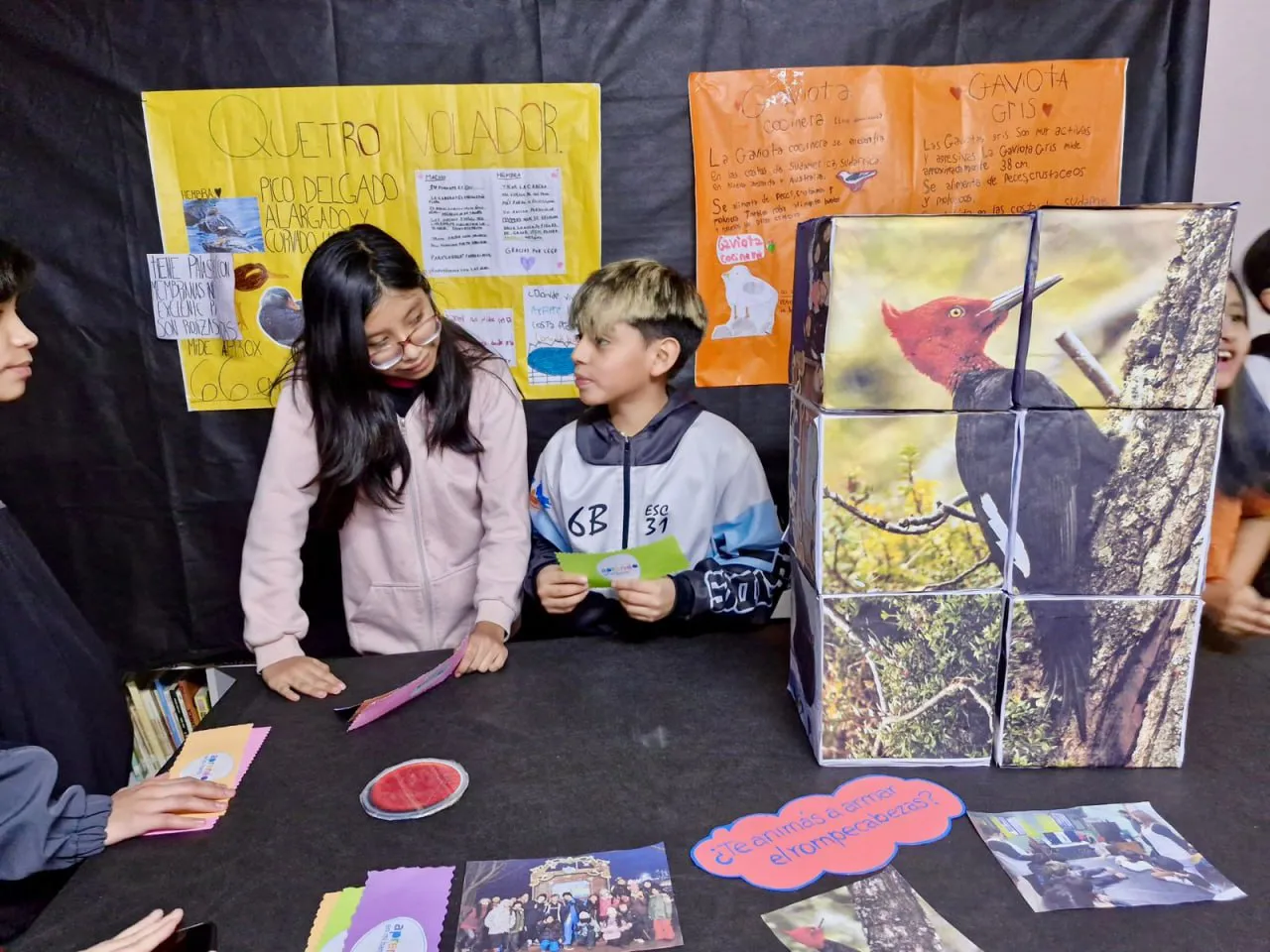 photo_5078217418253381633_y