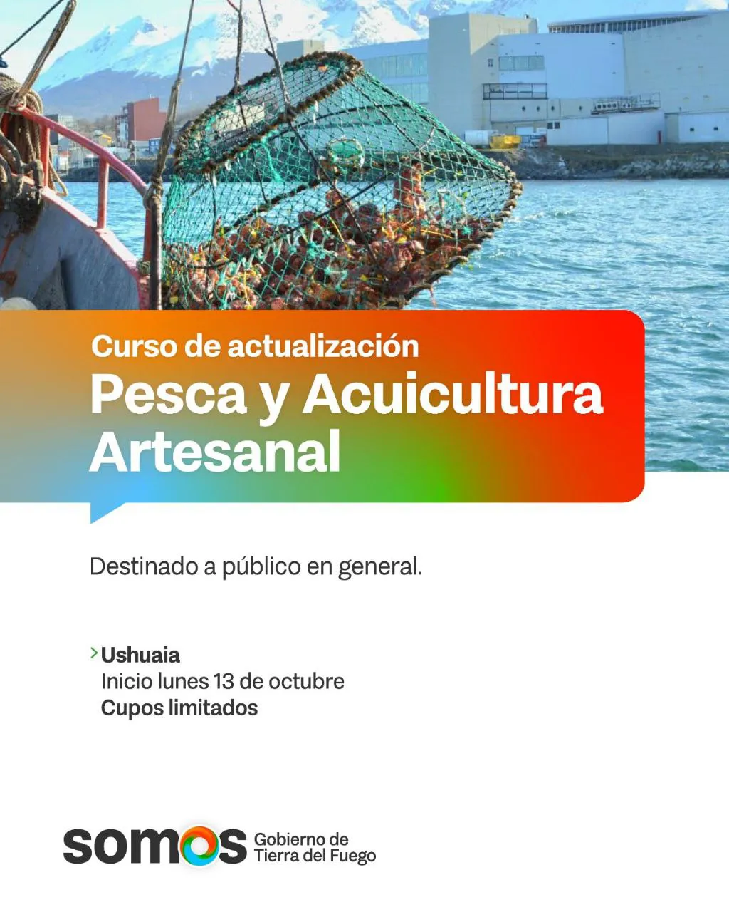 photo_5109492897660210064_y