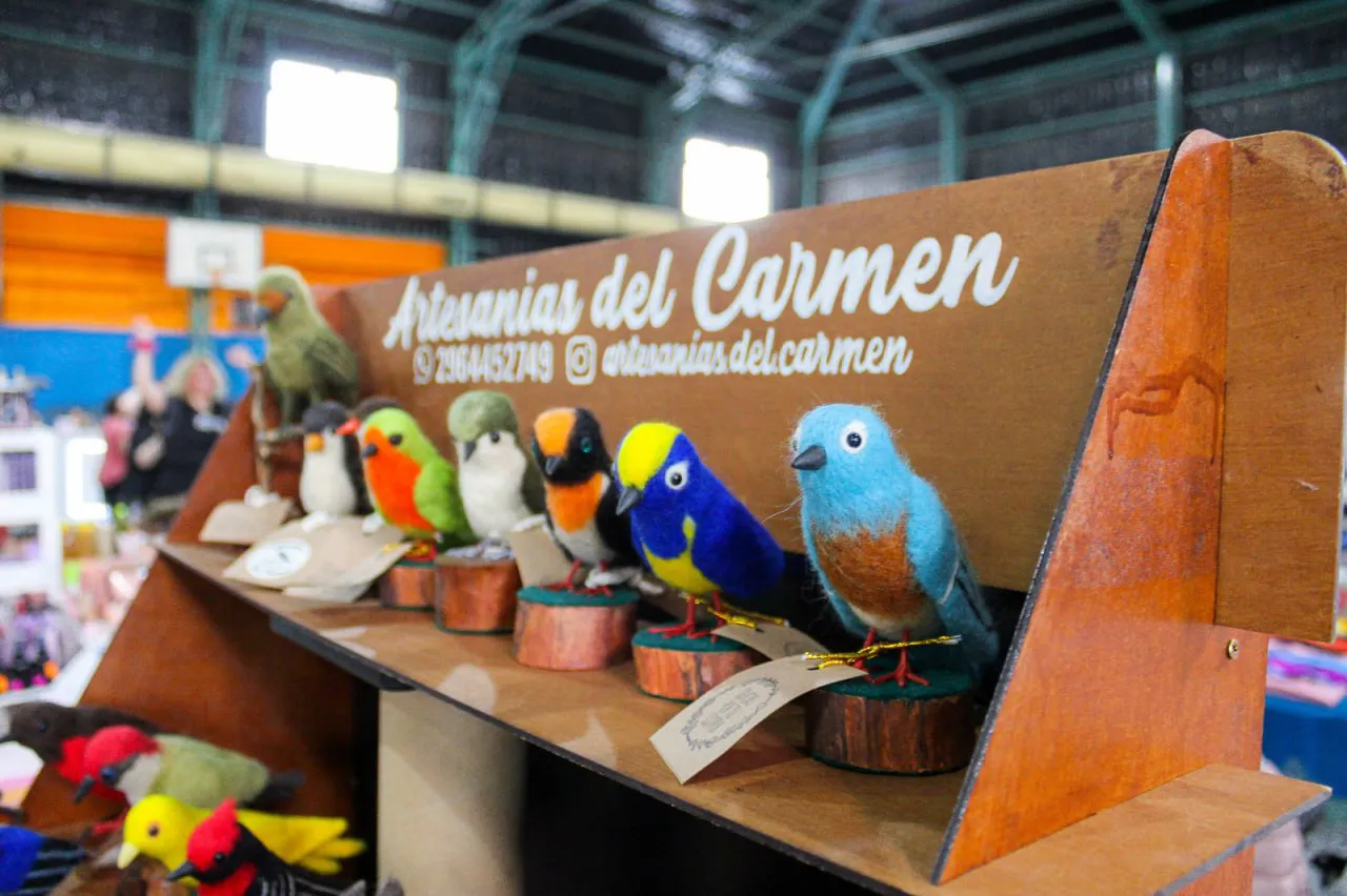 photo_4965586019793177364_y