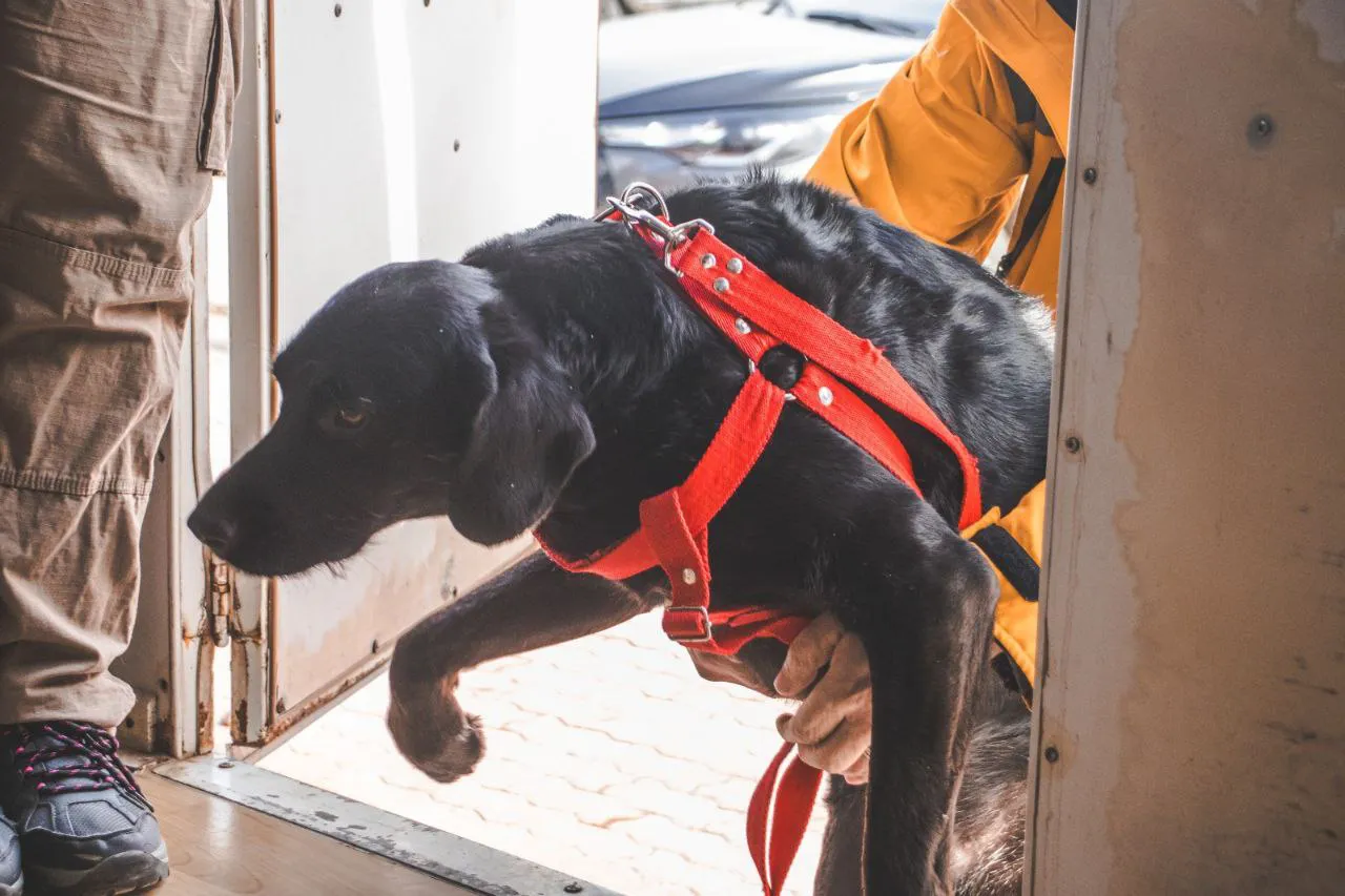 photo_5158896617972149419_y