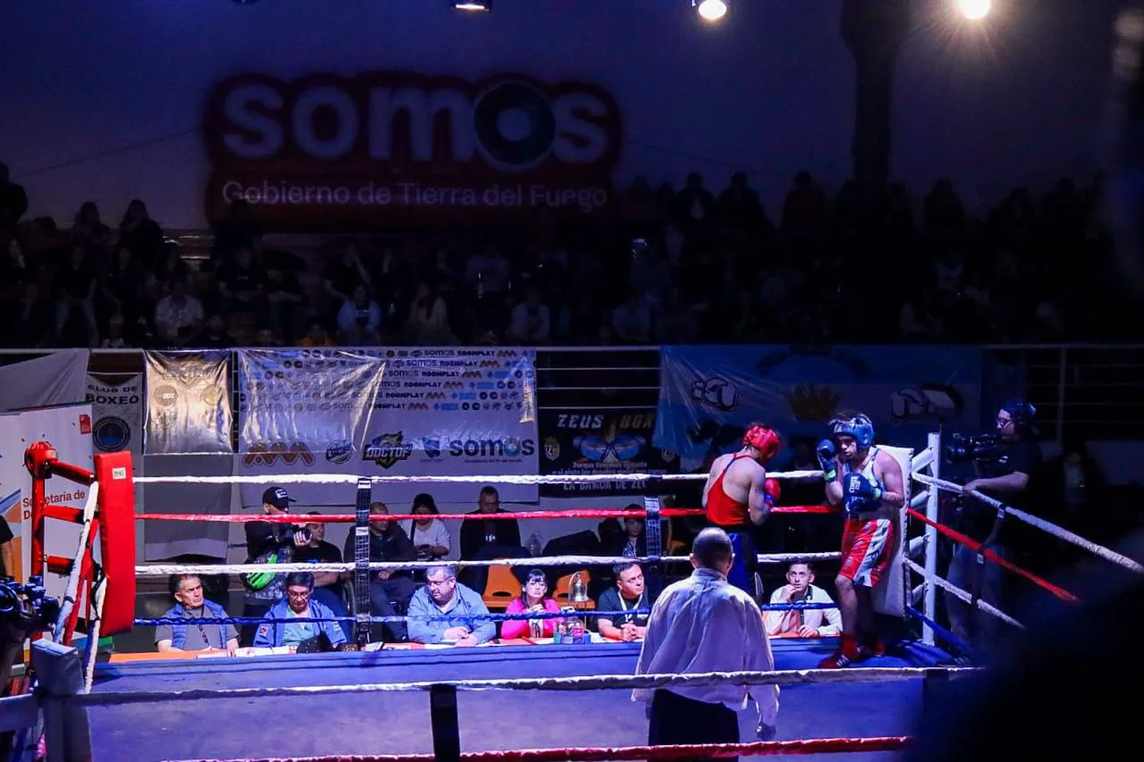 photo_5141408670784007445_y