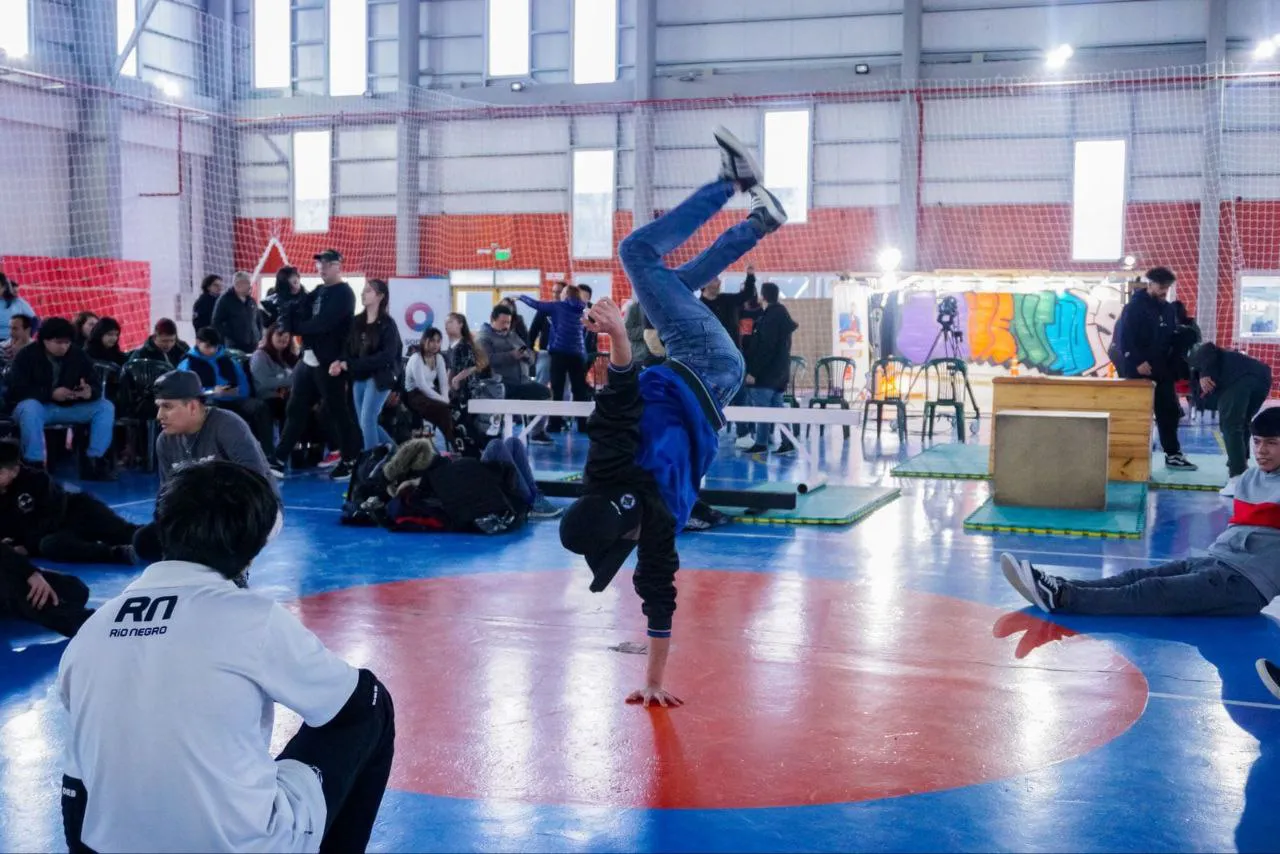 photo_4929503677413174588_y