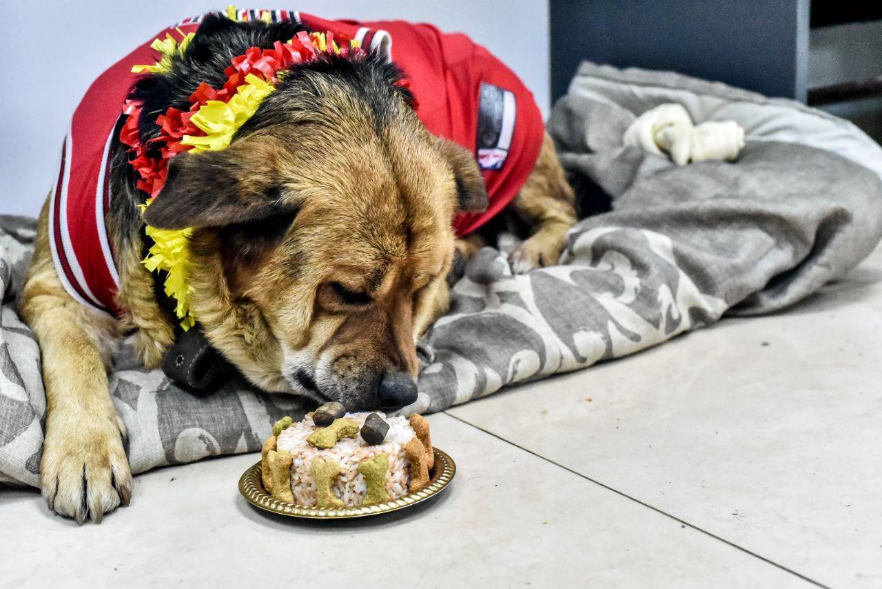 photo_5096238207674199248_y