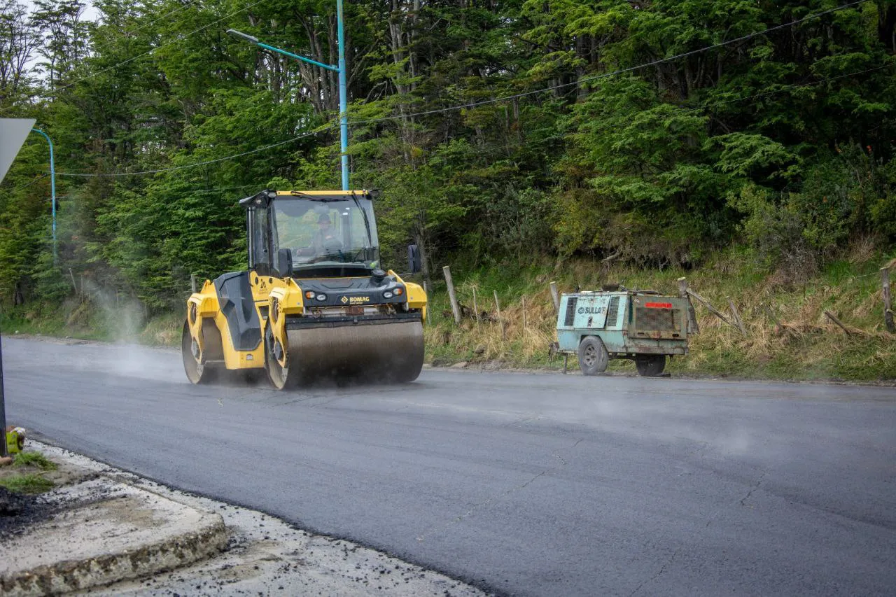 photo_5012640474598583803_y