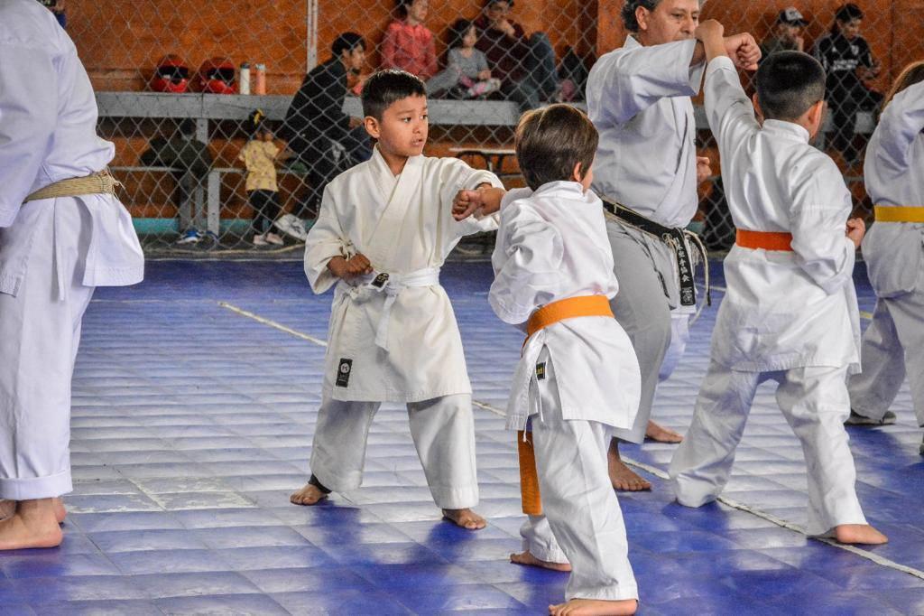 photo_5165849547254115203_y