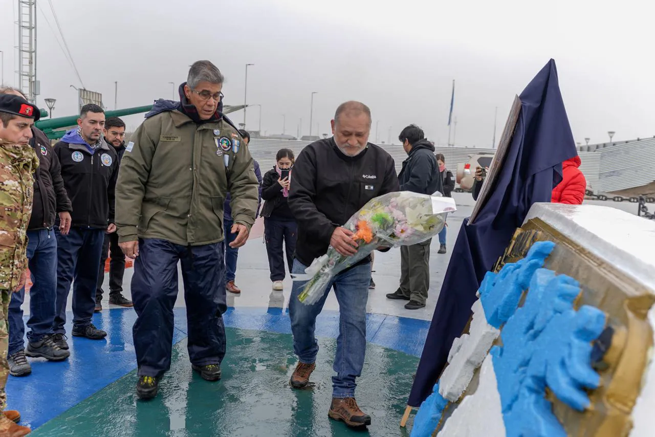 photo_4902292254979371015_y