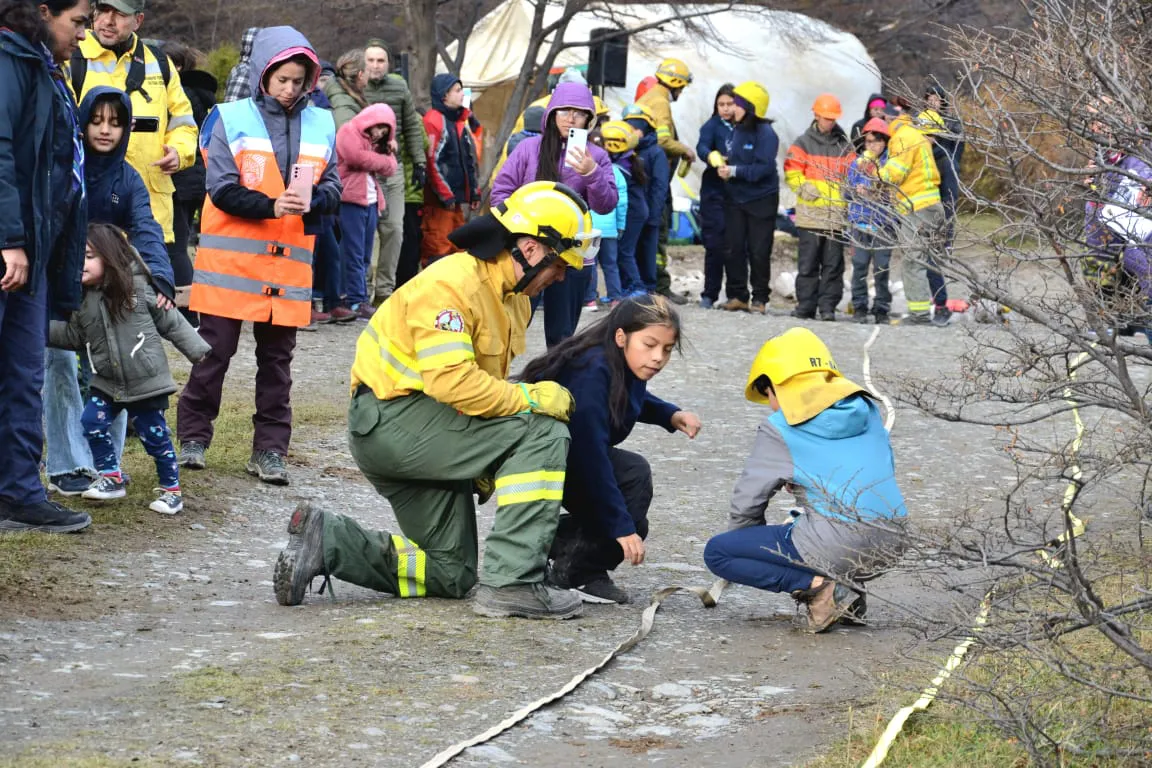 photo_4978743974223261314_y