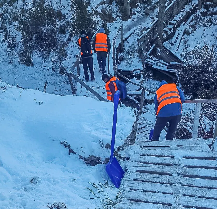 photo_5001697782691639277_y