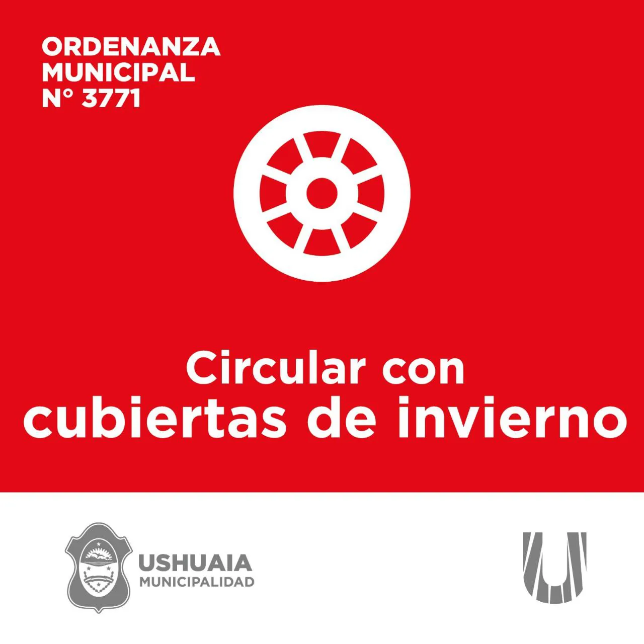 photo_4985865725784731077_y