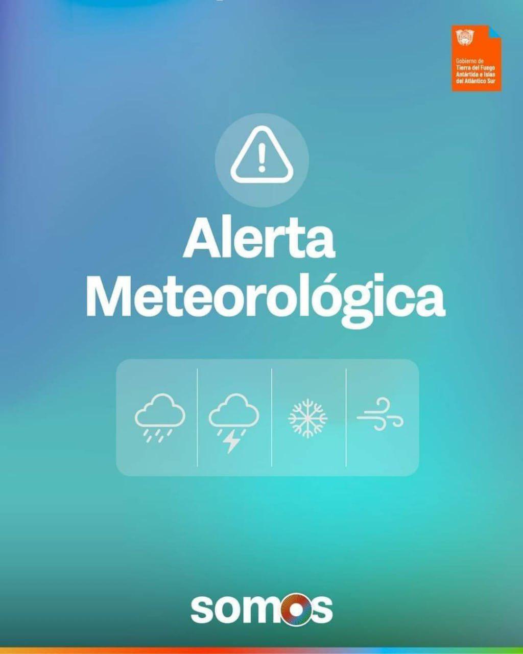 photo_5049032093274844227_y