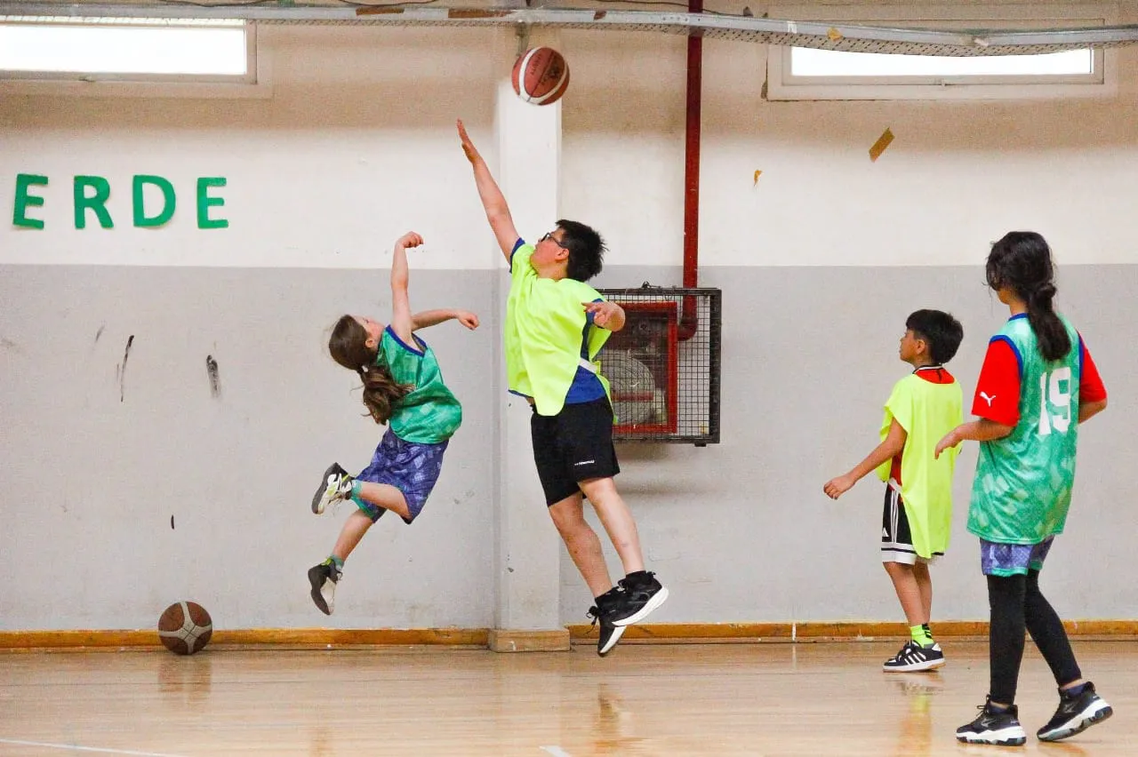 photo_4965586019793177401_y