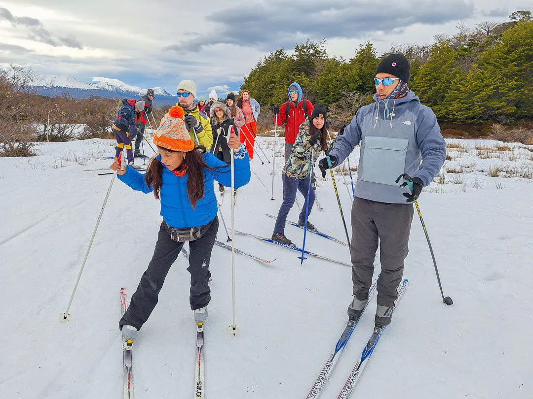 photo_5107251891095580250_y