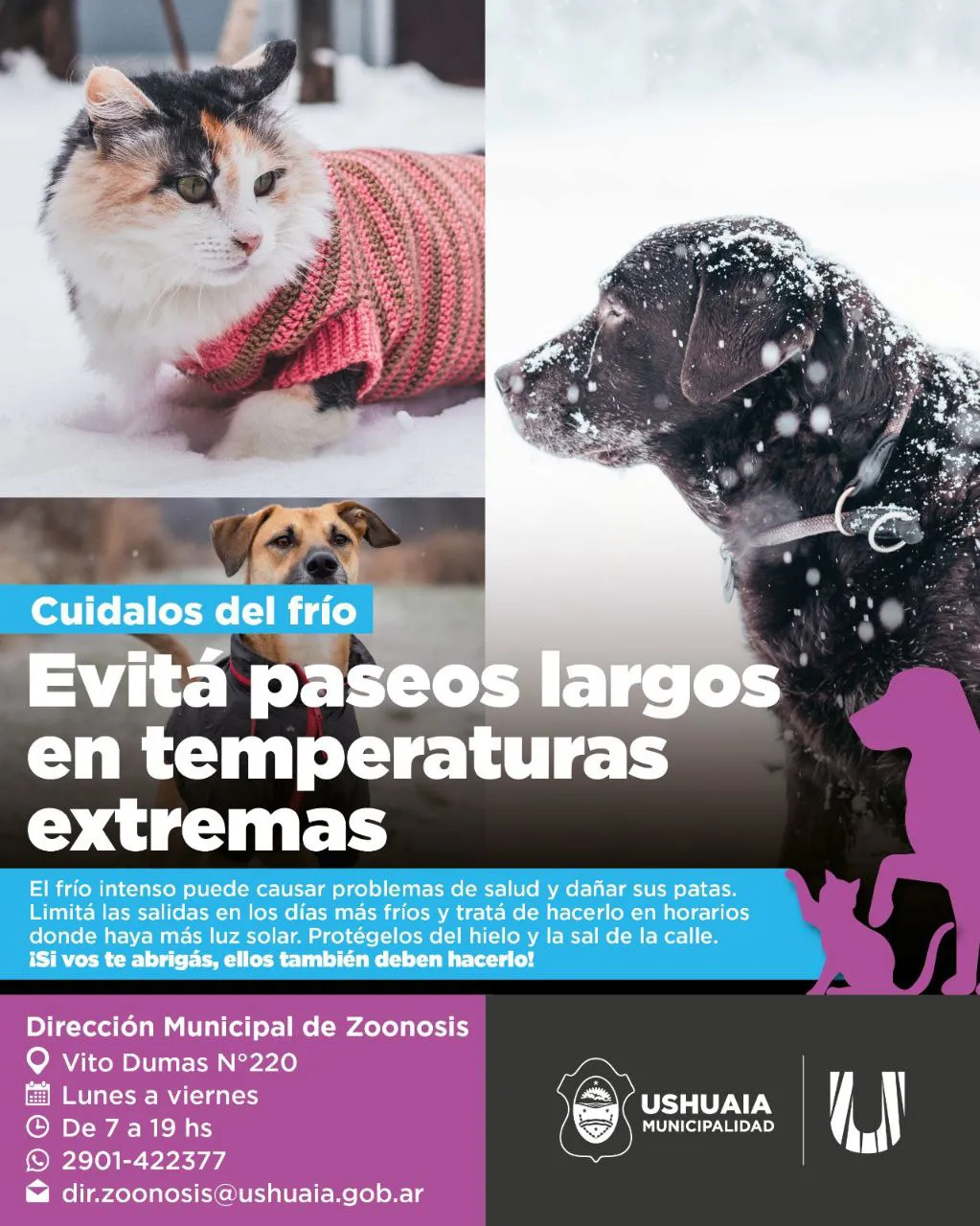 photo_5021772854970134819_y