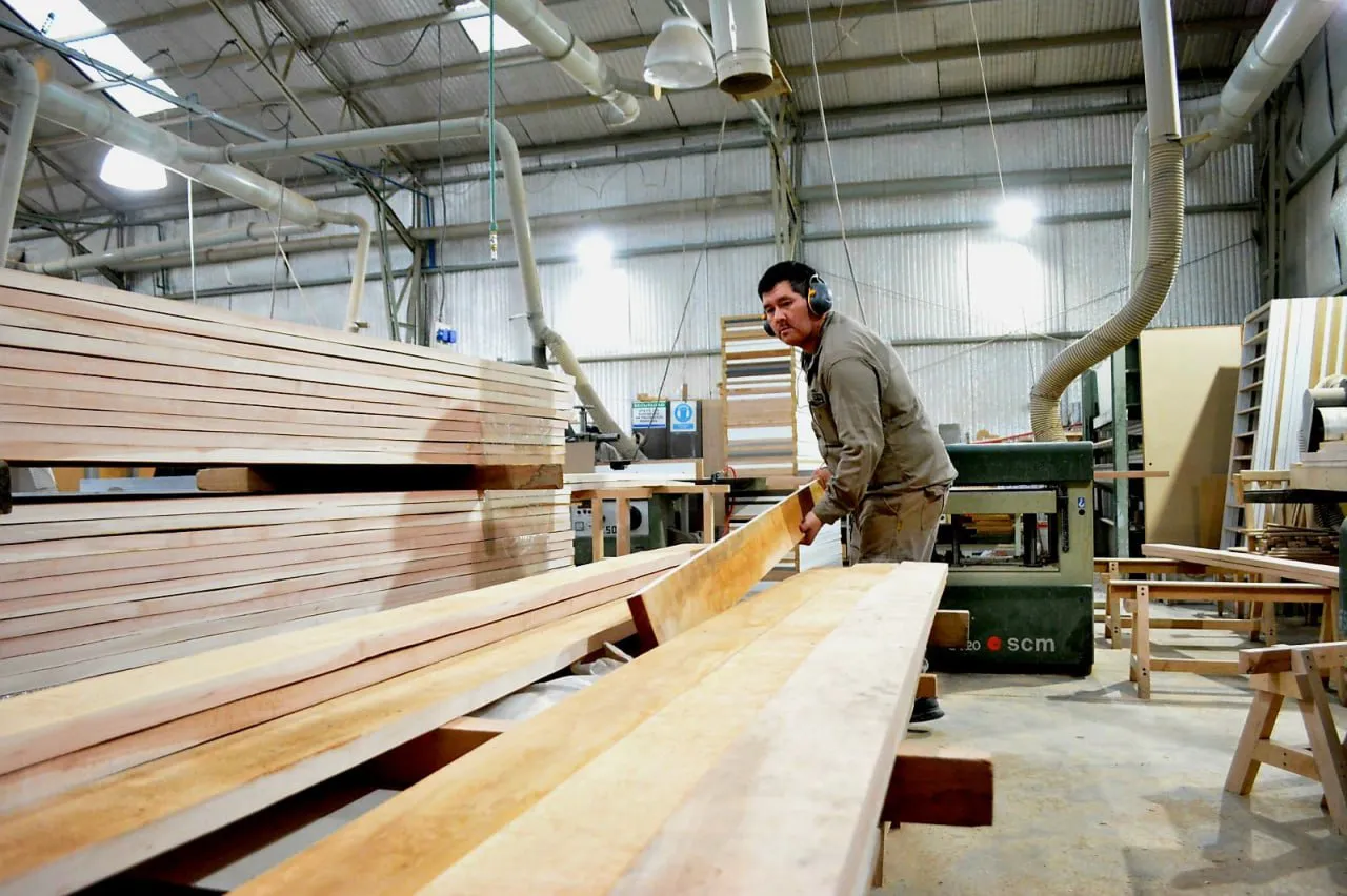 photo_4967843231261896522_y