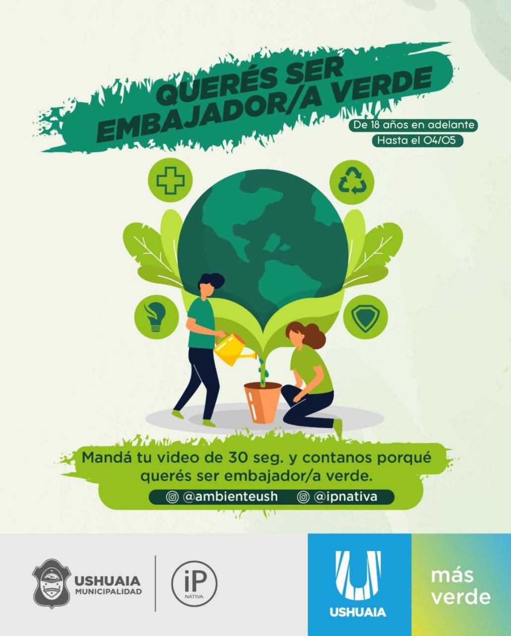 photo_5059904167329508034_y