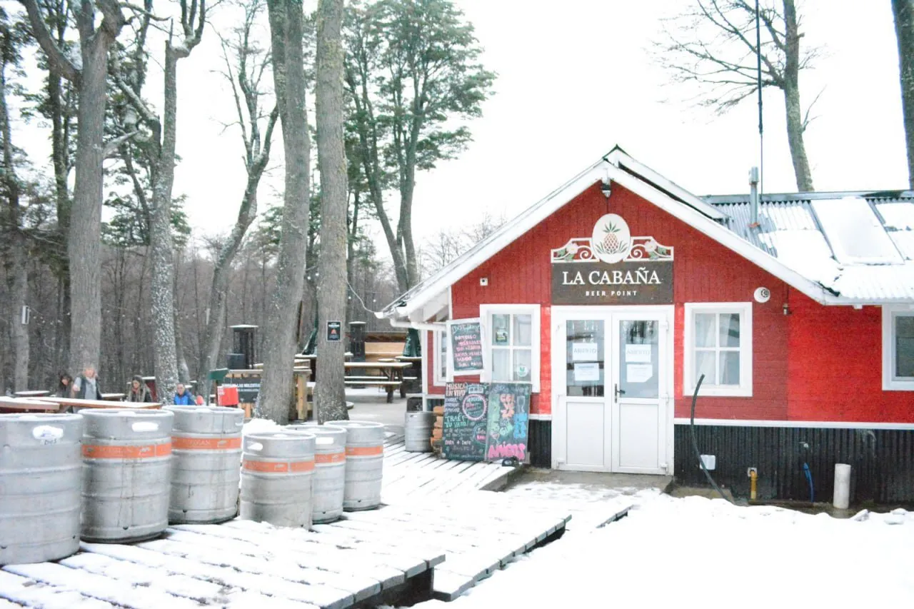 photo_4954442641240600431_y