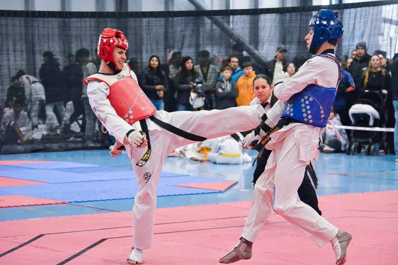 photo_5019471817651367754_y