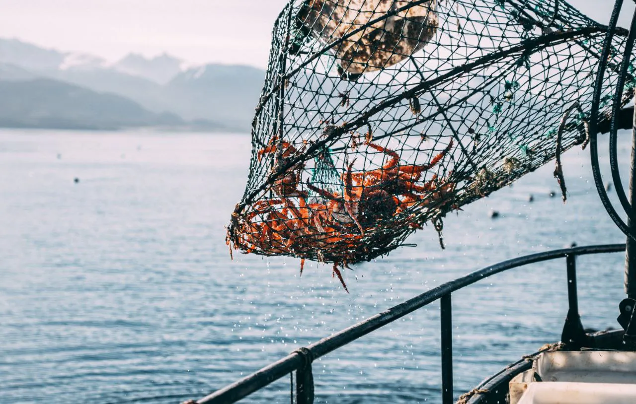 photo_5181725430007312111_y