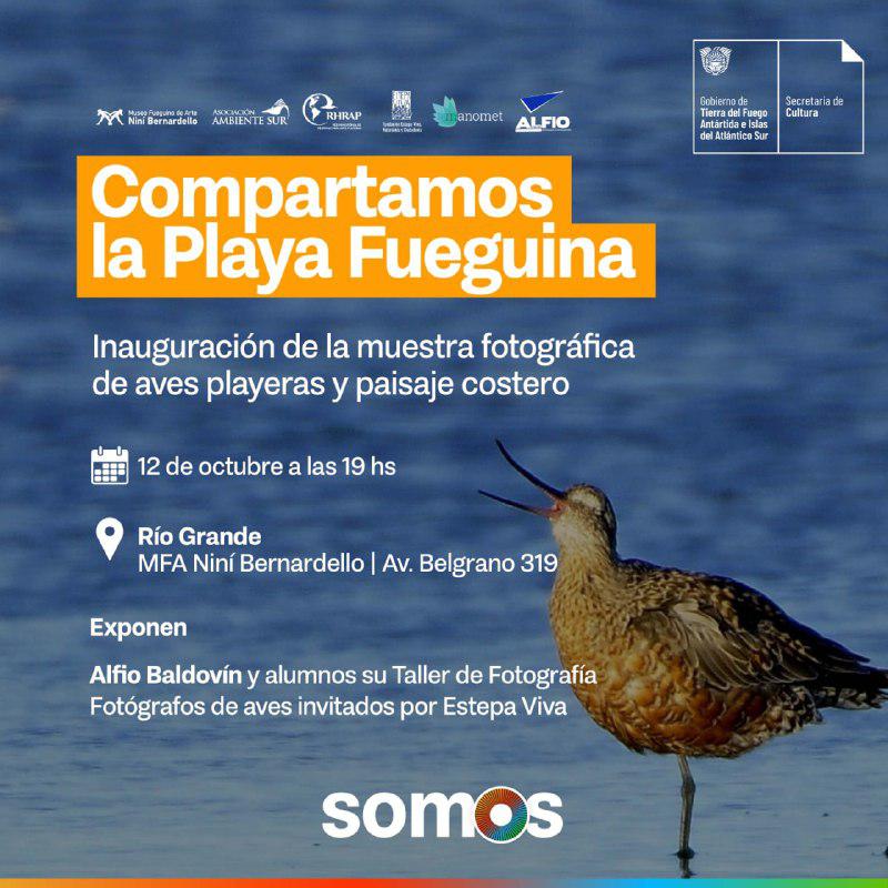 cc18103d-ded0-4cea-9862-7c25f156bf90