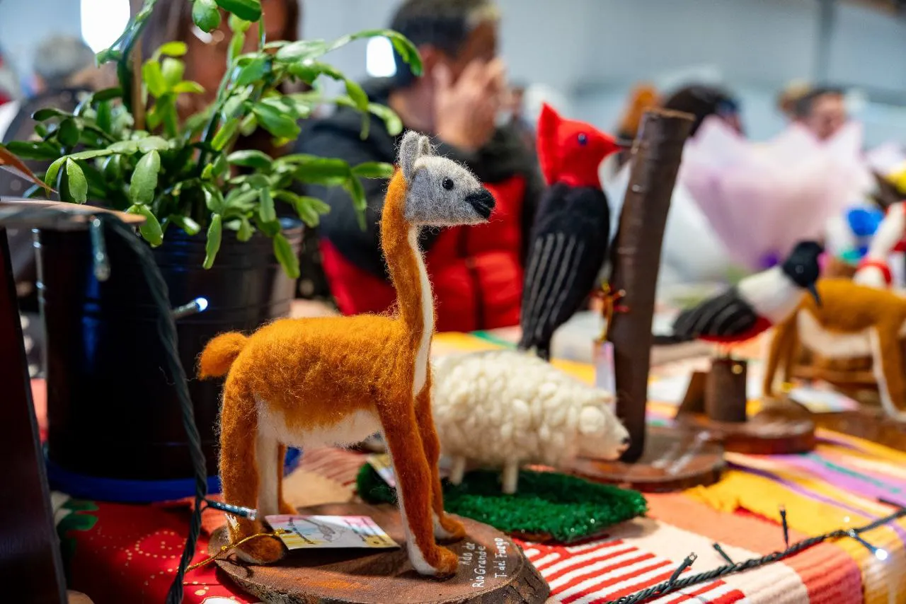 photo_5039669300796525332_y