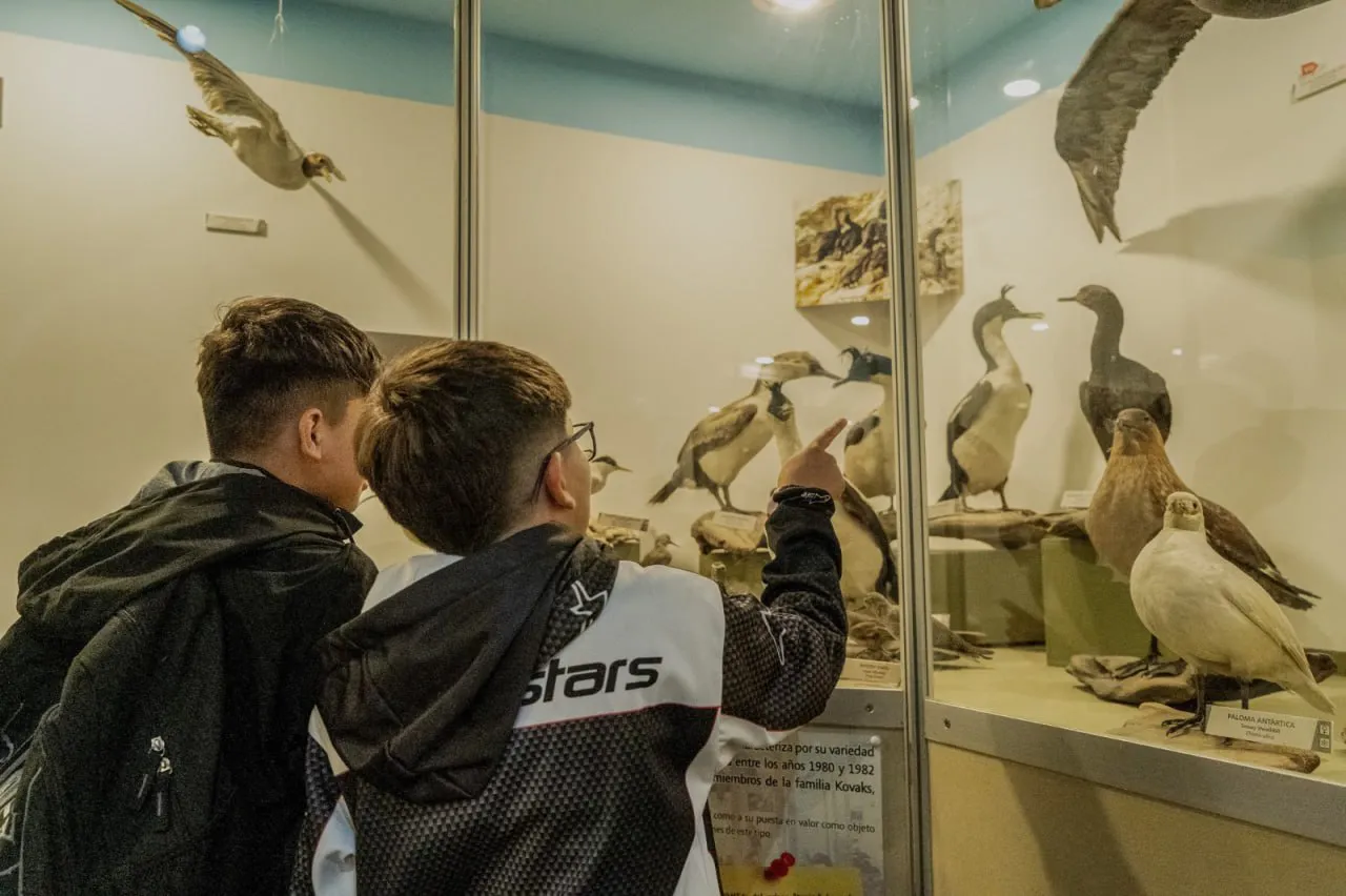 photo_5145528931699067911_y